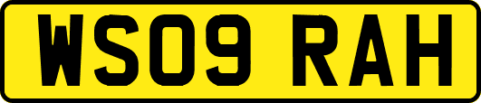 WS09RAH
