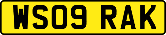WS09RAK
