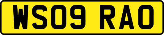WS09RAO