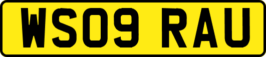 WS09RAU