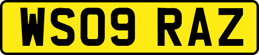 WS09RAZ