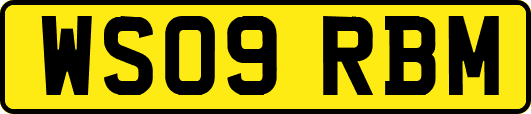 WS09RBM
