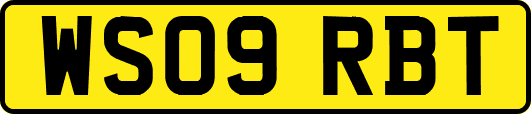 WS09RBT