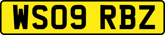 WS09RBZ