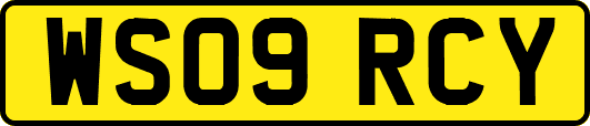 WS09RCY