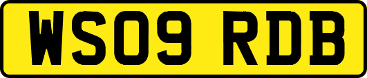 WS09RDB