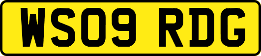 WS09RDG