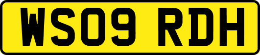 WS09RDH