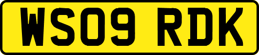 WS09RDK