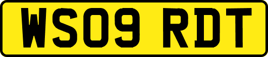 WS09RDT