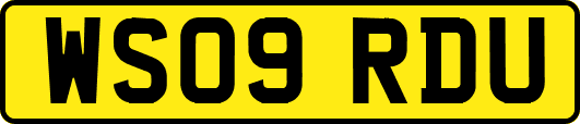 WS09RDU
