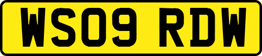 WS09RDW