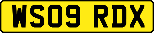 WS09RDX