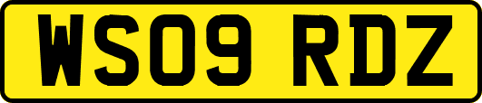 WS09RDZ