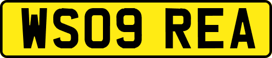 WS09REA