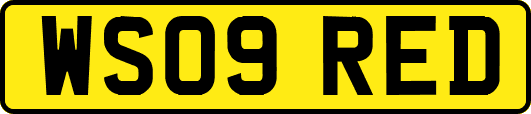 WS09RED