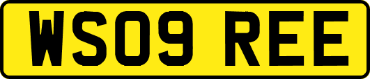 WS09REE