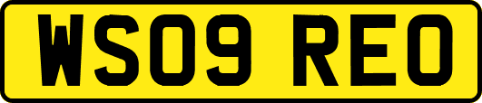 WS09REO