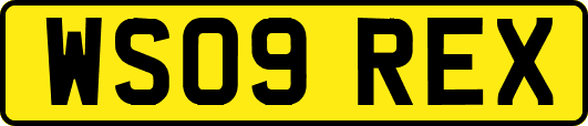 WS09REX