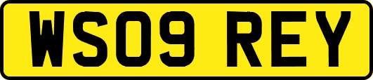 WS09REY