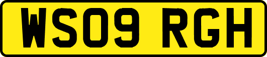 WS09RGH
