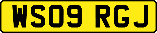 WS09RGJ