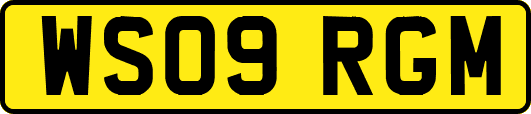 WS09RGM