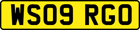 WS09RGO