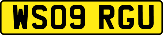 WS09RGU