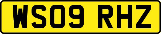 WS09RHZ