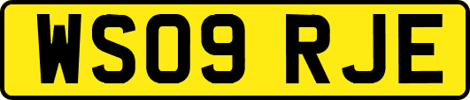 WS09RJE
