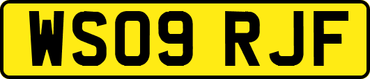 WS09RJF