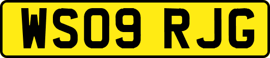 WS09RJG