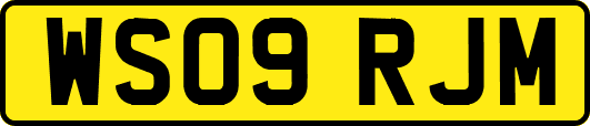 WS09RJM