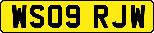 WS09RJW