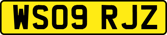 WS09RJZ