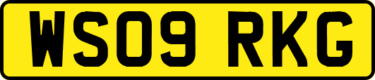 WS09RKG