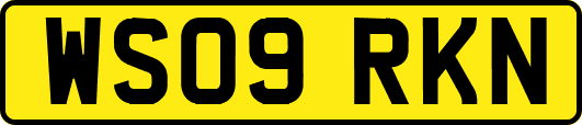 WS09RKN