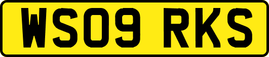 WS09RKS