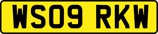 WS09RKW