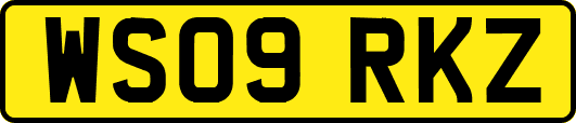 WS09RKZ