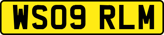 WS09RLM