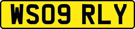 WS09RLY