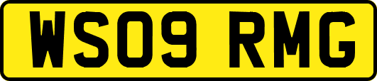 WS09RMG