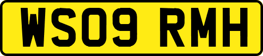 WS09RMH