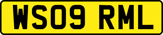 WS09RML