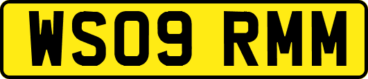 WS09RMM