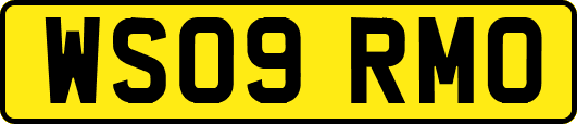 WS09RMO