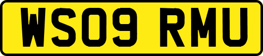 WS09RMU