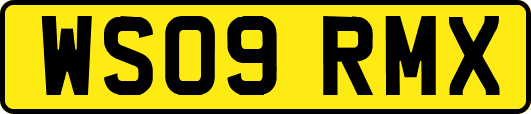 WS09RMX